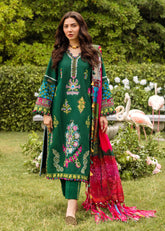 Zarashahjahan on emb Dhanak with Pashmina wool shawl